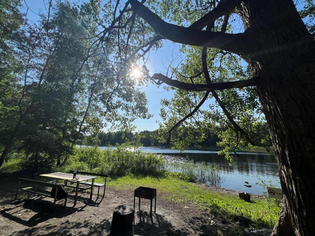 Lake&forest&city * Riika