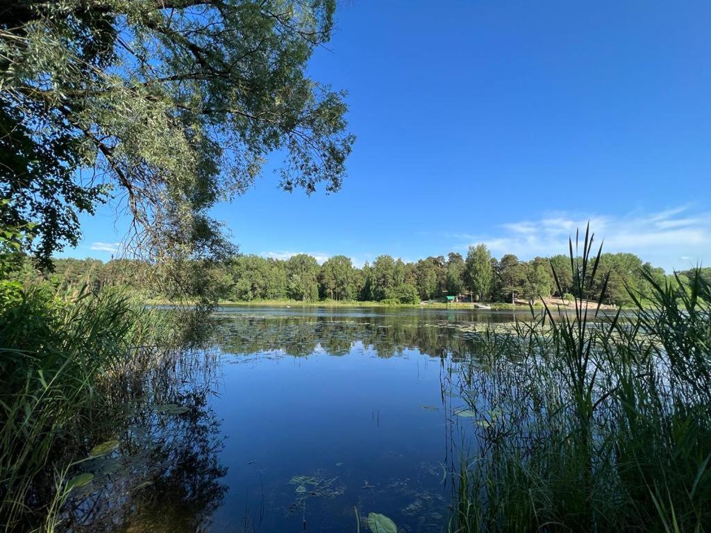 Huvilat Lake&forest&city *